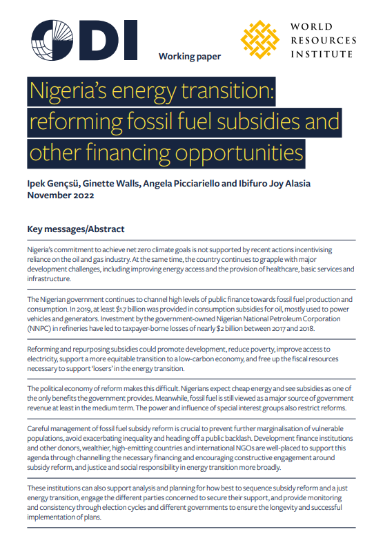 African Power Platform - Nigeria